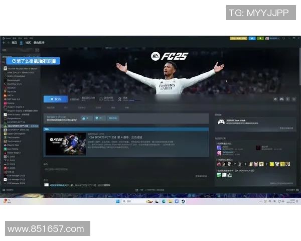 足球明星阿飞的个人简介与精彩瞬间全景展示